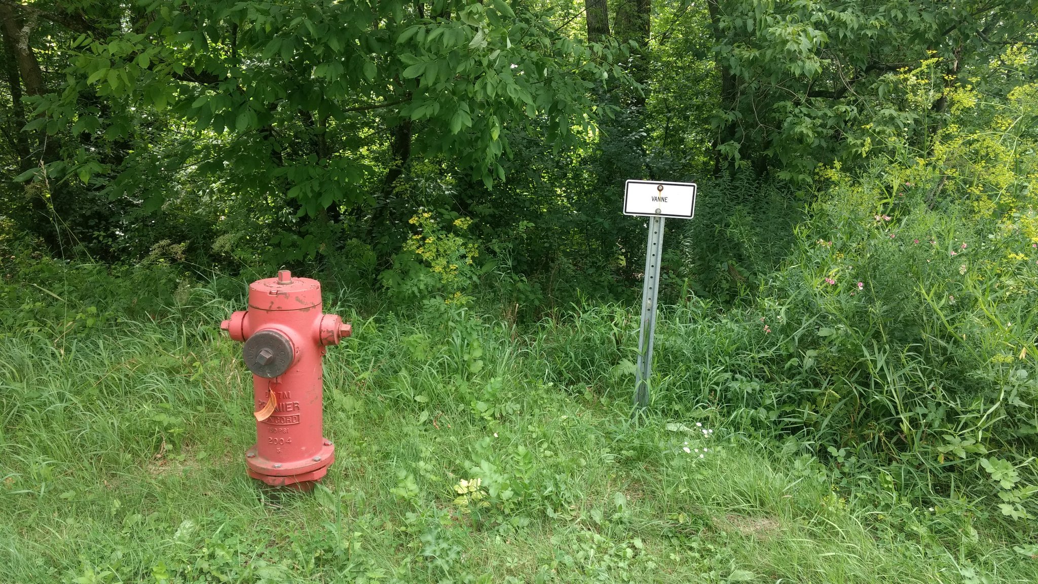 Photo d'une borne d'incendie, avec une pancarte juste à côté indiquant simplement "Vanne"