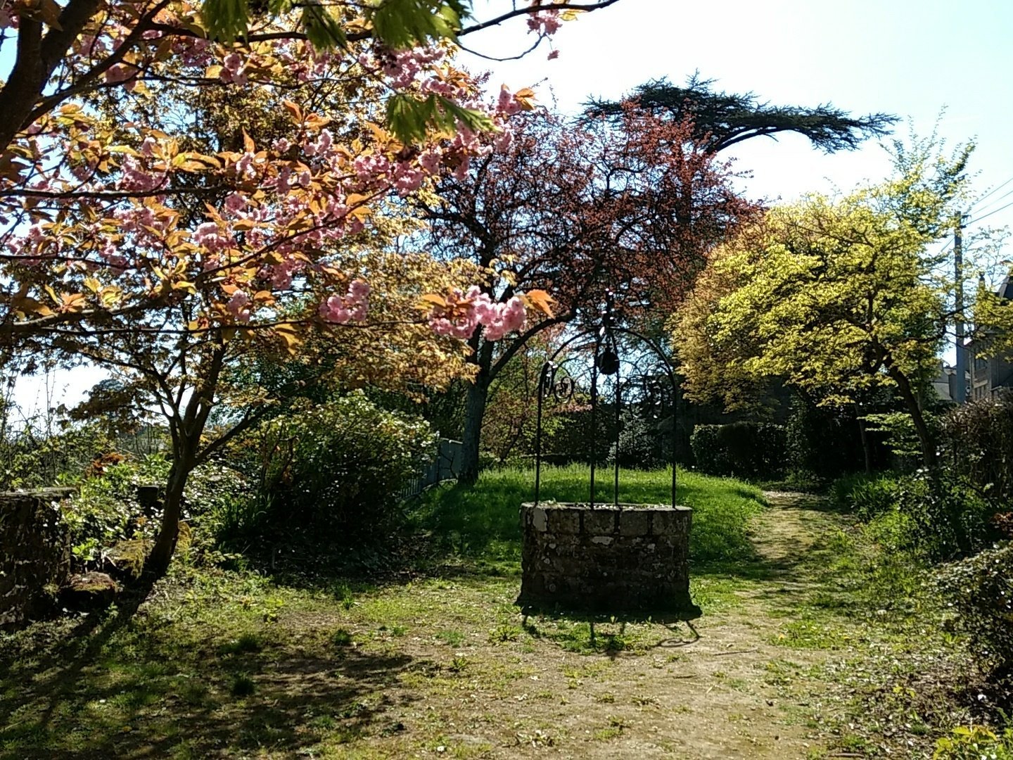 Un puits à dans un paysage de verdure, avec des cerisiers en fleurs