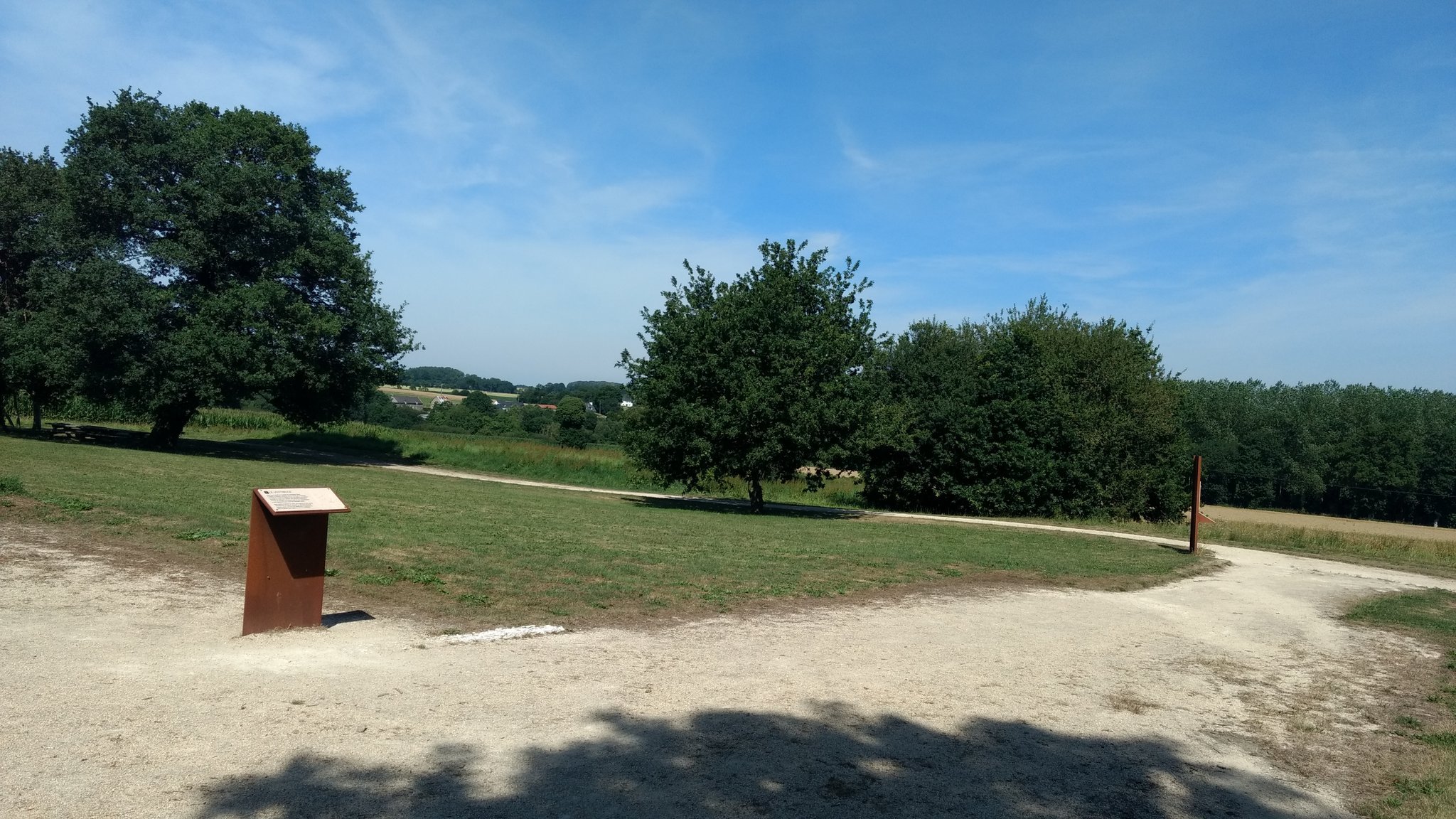 Photo d'un espace ouvert avec des arbres au fond